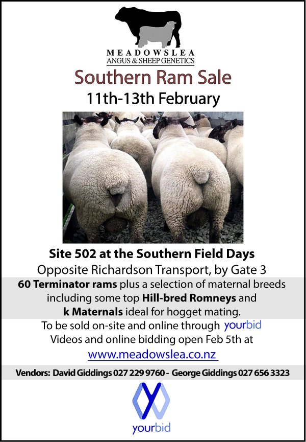 2026 Southern Ram Sale