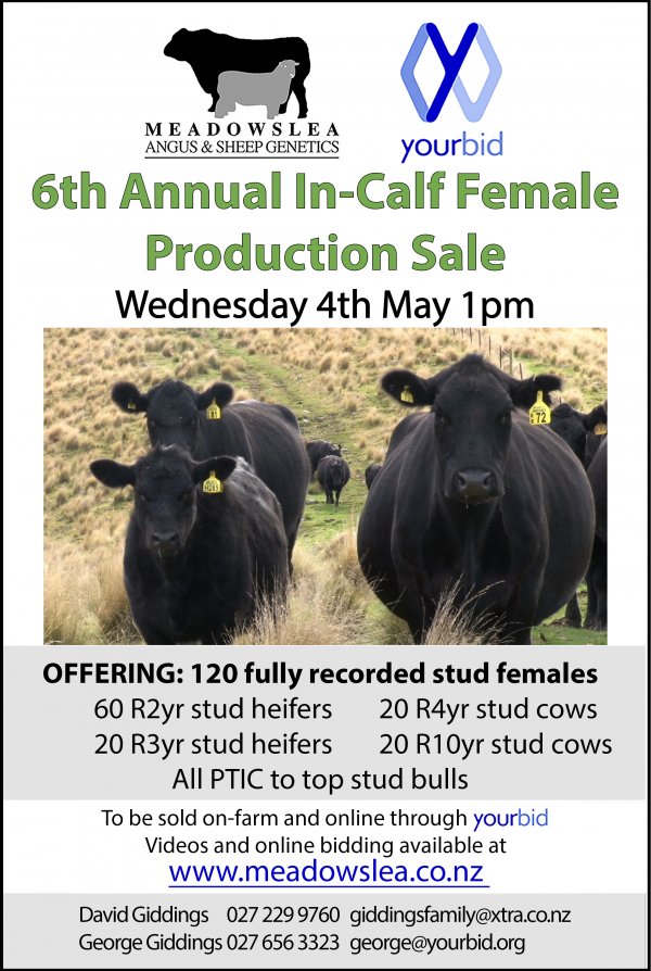 2022 cow sale 1pm