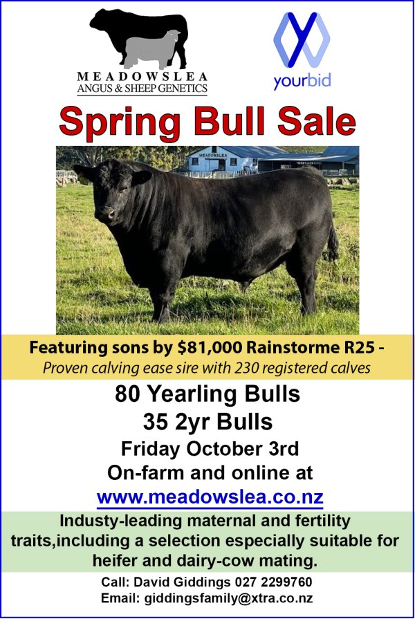 Spring bull ad 2025