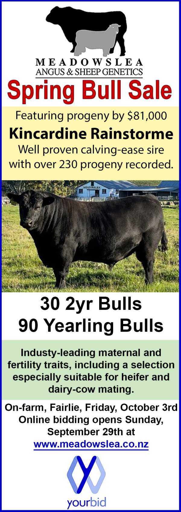 Spring bull ad 2025 FW