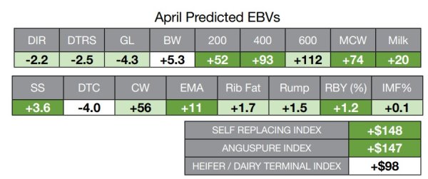 Screenshot 2026 04 26 181525