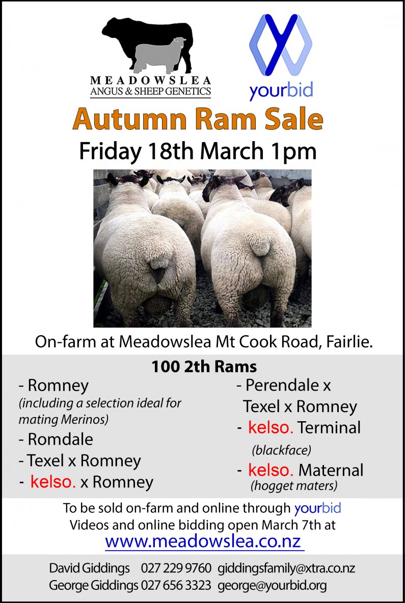 2022 autumn ram sale 280x190