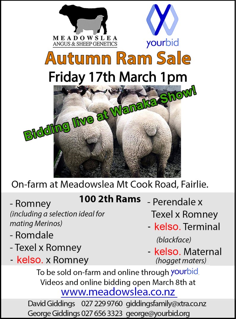 2022 autumn ram sale 280x192