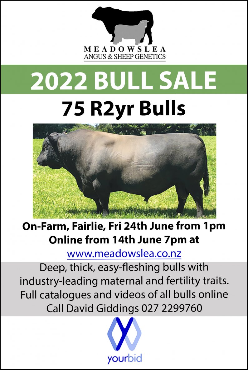 2022 winter bull sale advert2