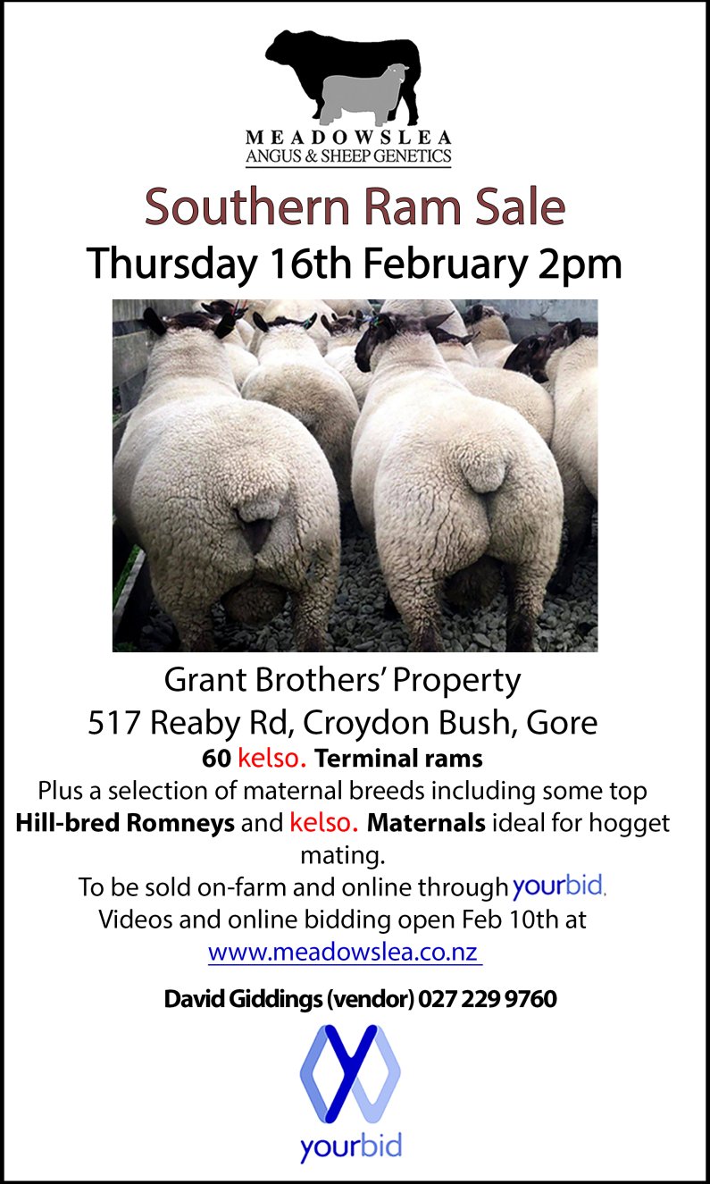 2023 Southern Ram Sale Advert2