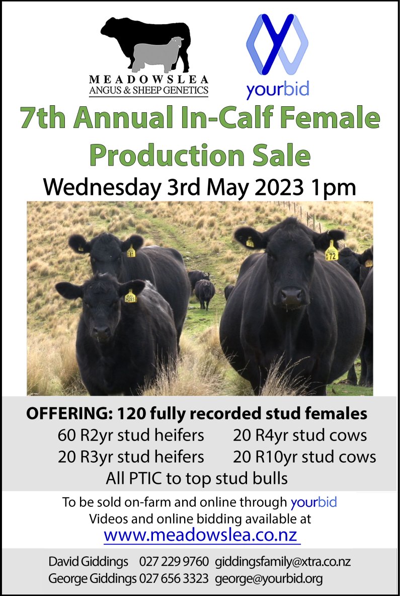 2023 cow sale poster 0 as well please