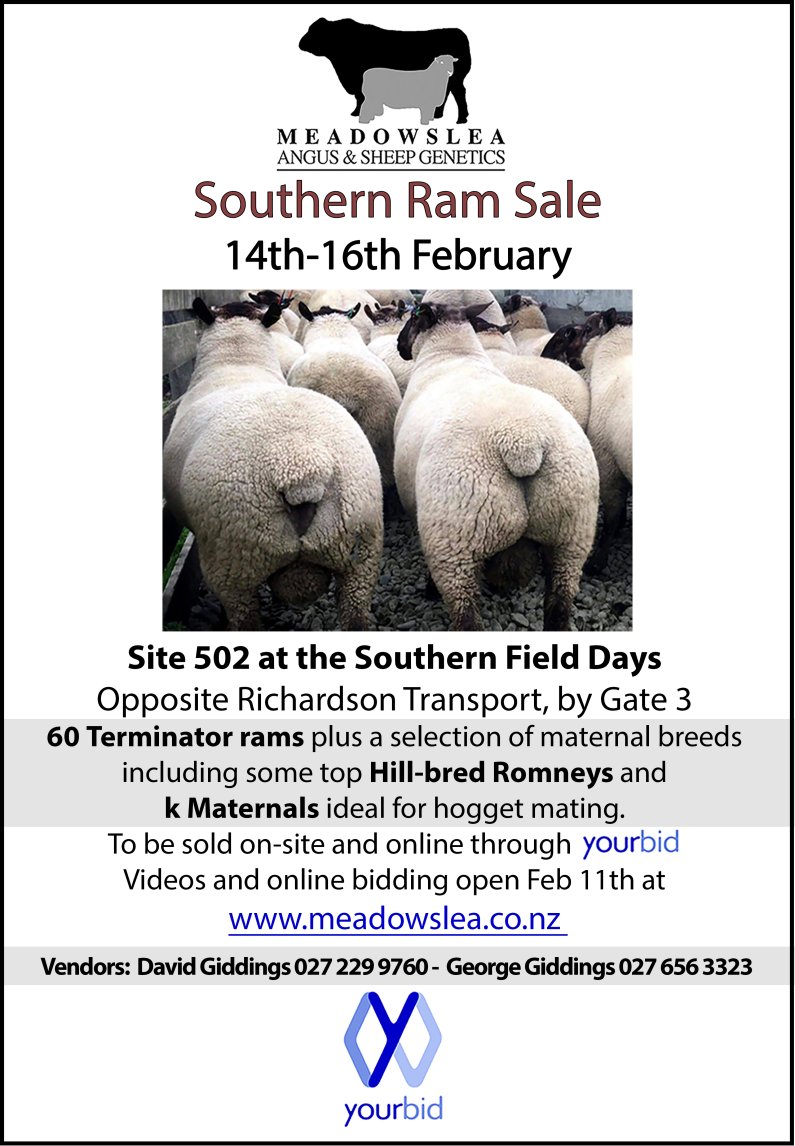 2024 Southern Ram Sale3