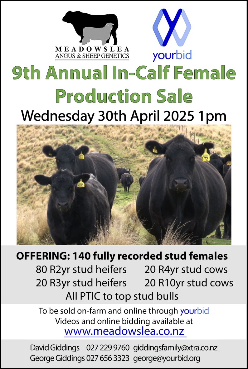 2025 cow sale poster
