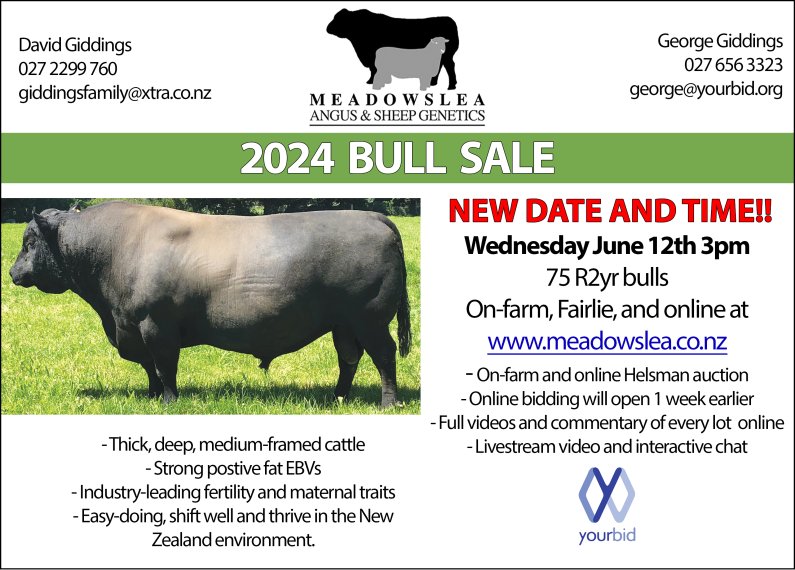 Bullsale advert landscape2