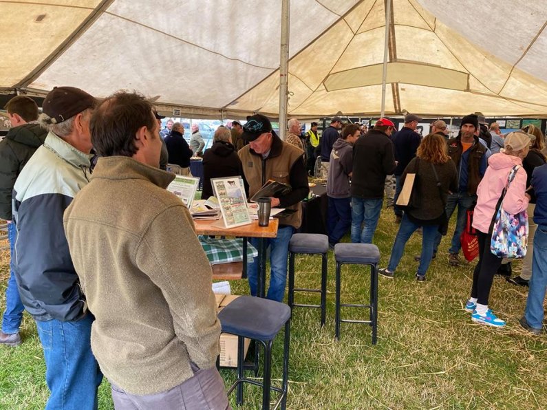 Field Days Ram Sale crowd