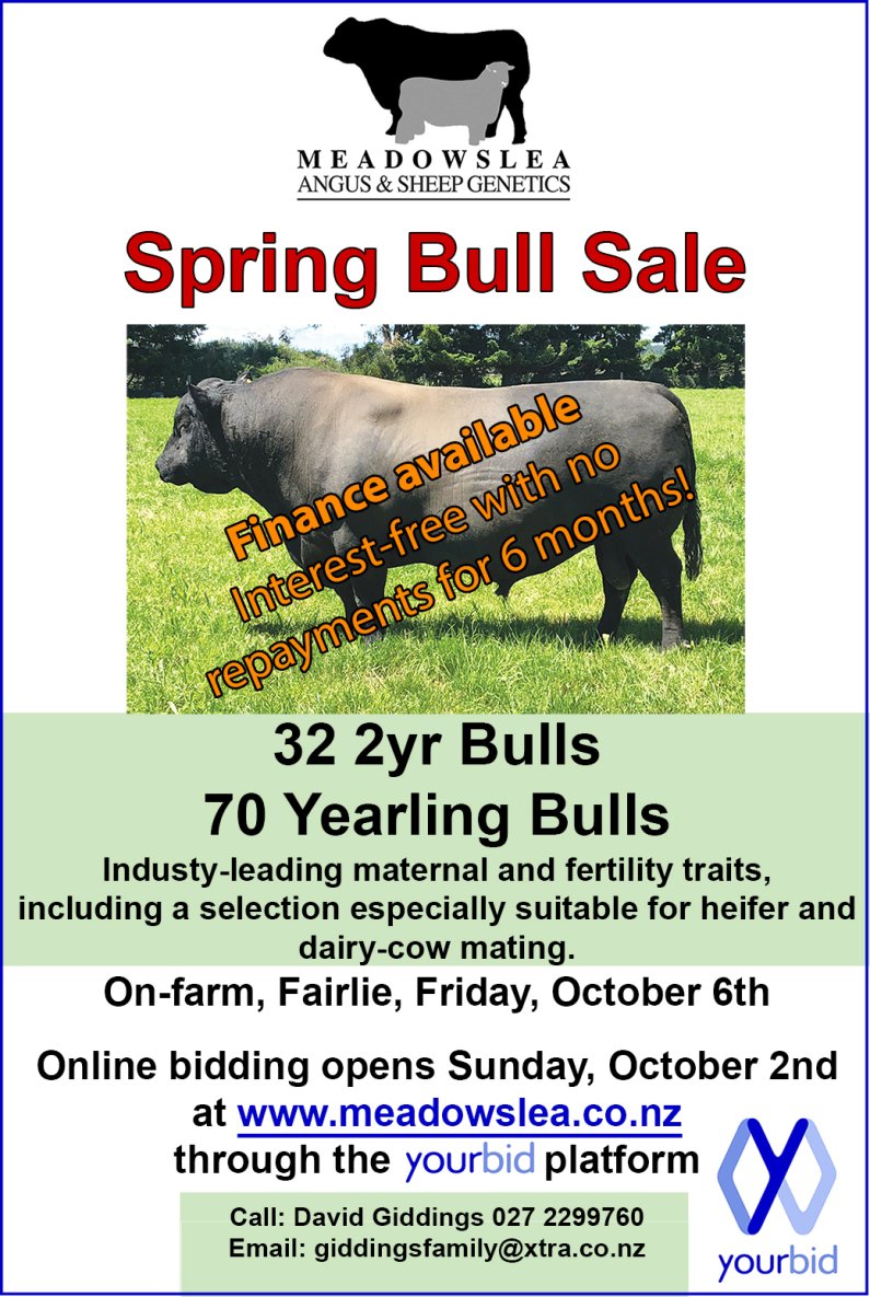 Spring bull ad 2023 finance2