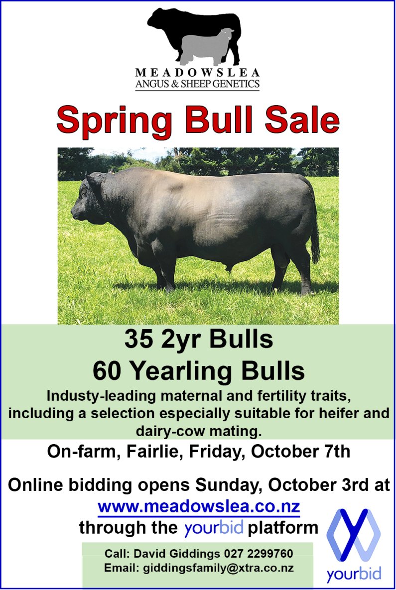 Spring bull ad 2023