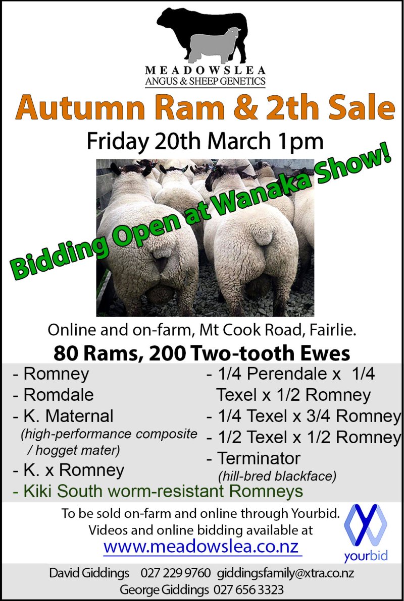 Advert poster 100x150 copy